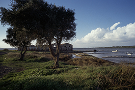 exhibition-card-image